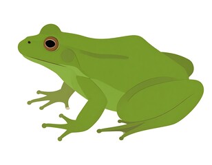 A vibrant green frog with brown eyes, depicted in a simple, flat vector style against a plain white backdrop