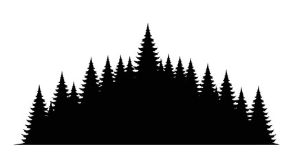 Obraz premium Silhouette of Evergreen Pine Trees Forest.