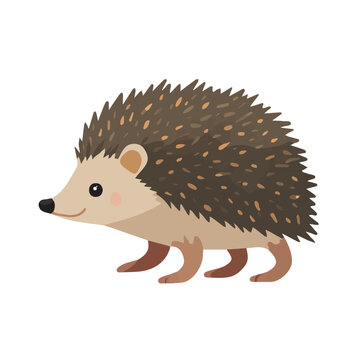 Hedgehog Tenrec illustrated in a clean 2D flat vector style, minimal and modern, isolated on a white background.
