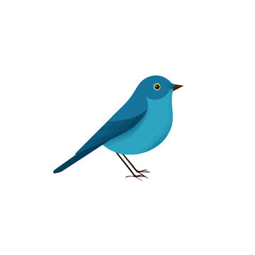 Tweedia, modern 2D flat vector illustration in icon style, isolated on pure white background.