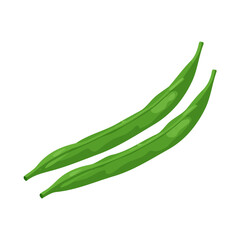 Modern flat 2D vector illustration of Green Beans, clean and minimal design, isolated on white background.