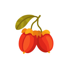 Ackee illustrated in a clean 2D flat vector style, minimal and modern, isolated on a white background.