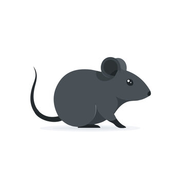 Simple flat 2D vector graphic of Rat, modern icon look, displayed on a pure white background.