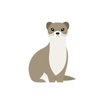 Modern flat 2D vector illustration of Stoat, clean and minimal design, isolated on white background.