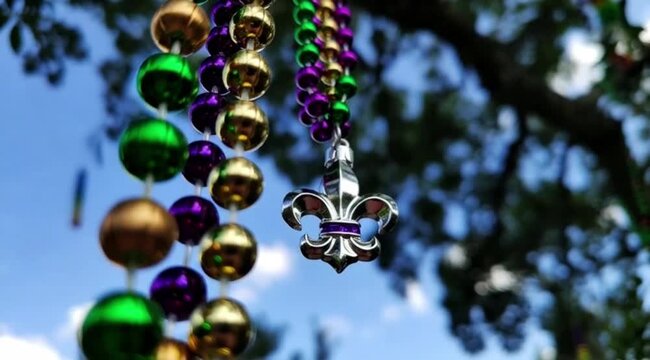 Sunny outdoor Mardi Gras beads and fleur de lis on tree branch blowing in wind
