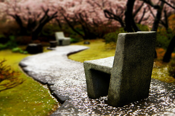 Modern stone benches line a winding path covered in cherry blossom petals. A serene springtime garden scene of beauty and contemplation.