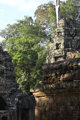 The impressive ruins of the Ta Prohm temple near Angkor Wat in Siem Reap Cambodia - an incredible example of the advanced Khmer architecture but engulfed by the jungle