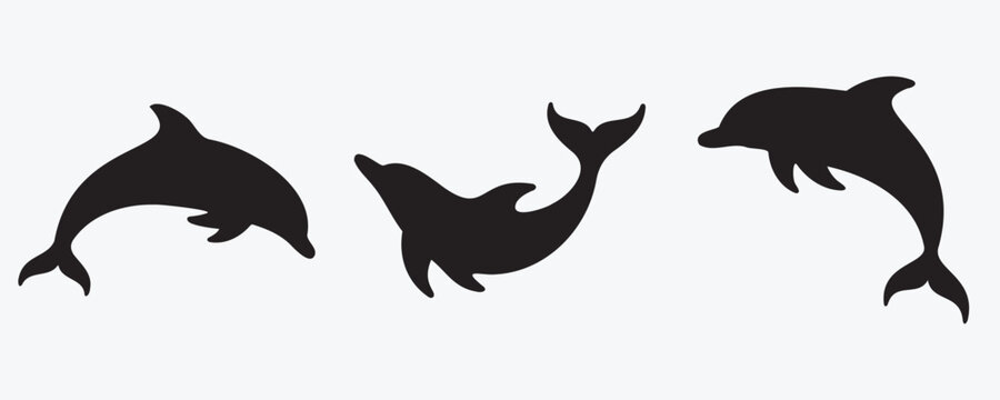 Set of dolphin silhouettes in dynamic swimming poses. Smooth black shapes in clean vector style, representing marine mammals in motion, isolated on white background.