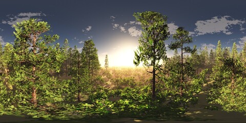 Trees in the fog, Environment map, HDRI map, equidistant projection, Spherical panorama, panorama 360, landscape,
3D rendering