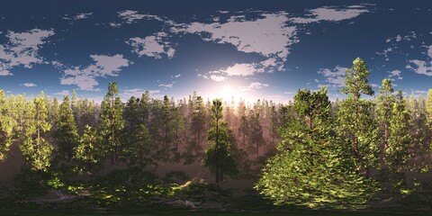 Trees in the fog, Environment map, HDRI map, equidistant projection, Spherical panorama, panorama 360, landscape,
3D rendering