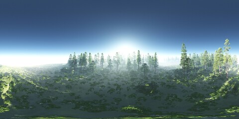 Trees in the fog, Environment map, HDRI map, equidistant projection, Spherical panorama, panorama 360, landscape,
3D rendering