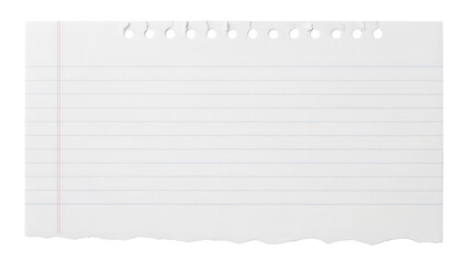 Lined notebook paper isolated PNG on transparent background, torn sheet with holes for school notes and reminders, stationery design element