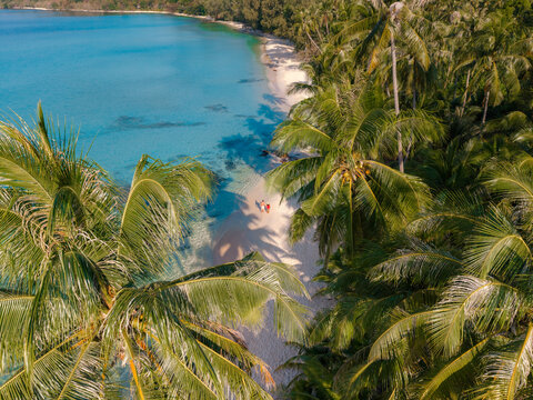 White sandy shores meet crystal-clear turquoise waters at Takhian Beach, Koh Kood. Lush palm trees sway gently as visitors enjoy this peaceful paradise under the sun in thailand.