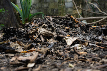 Pile of burnt garden waste and ash polluting the environment