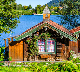 Wooden cabin with logs near green field and trees on sunny day in countryside