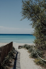 Fototapeta premium Traumhafter Strand mit kristallklarem, türkisblauem Wasser auf Formentera