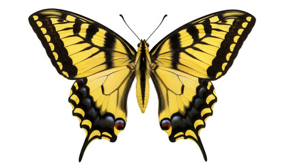 Fototapeta premium Eastern tiger swallowtail butterfly PNG isolated on transparent background, yellow and black wings with blue and red spots, beautiful insect