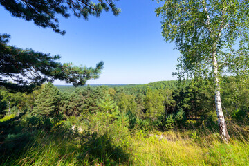 Hurlevent viewpoint in Fontainebleau forest. &Icirc;le-de-France region