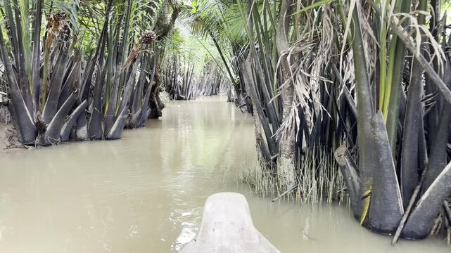 A quiet boat journey along a very narrow river in the Mekong Delta, Vietnam, surrounded by dense nipa palm forest. Calm water, rich greenery and a secluded tropical atmosphere dominate the scene.