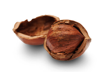 Cracked hazelnut isolated on transparent background