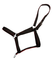 Horse halter isolated on transparent background