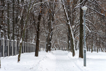 View of the Winter Park in the city. Snowy park pathway. High quality photo
