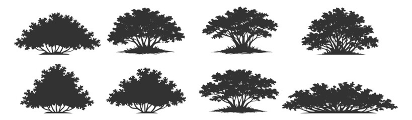 Bush silhouette set, shrub hedge garden nature vector illustration, botanical foliage landscape greenery outdoor plant collection on transparent background