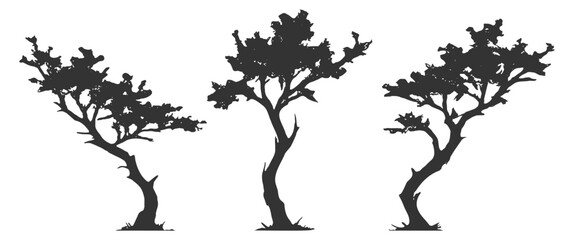 Tree silhouettes, acacia savanna nature forest landscape vector set, branch trunk leaf canopy safari wild desert arid outdoor scenery on transparent background © Alex