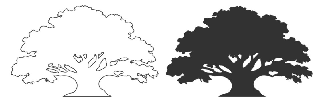 Tree silhouette collection, oak deciduous canopy vector illustration, forest nature landscape plant foliage, black isolated clipart on transparent background