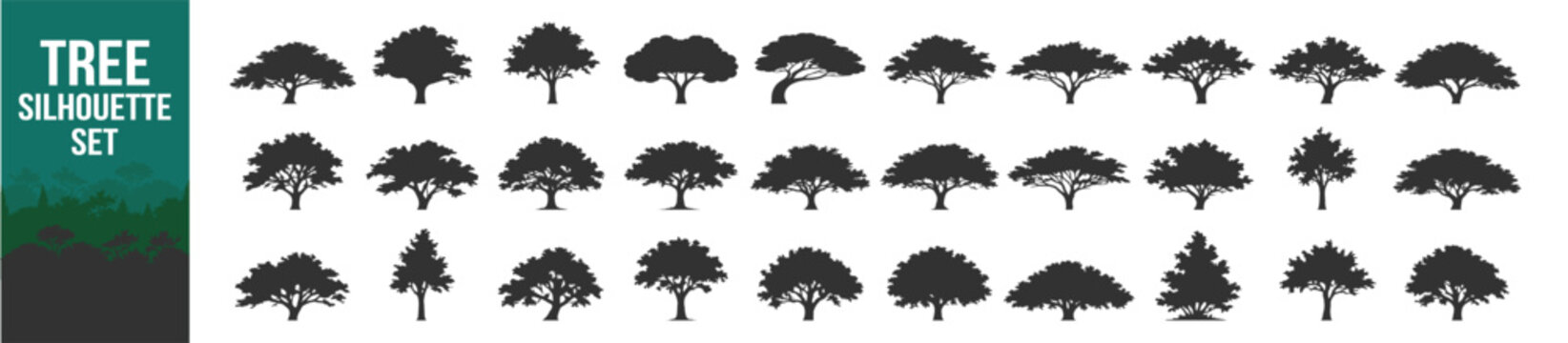 Tree silhouette set, maple birch elm poplar willow woodland vector illustration, forest nature landscape, black isolated design printable poster on transparent background