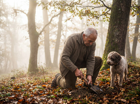 Truffle hunter with dog in forest autumn tradition italian lifestyle search luxury mushroom background copy space piedmont nature organic food