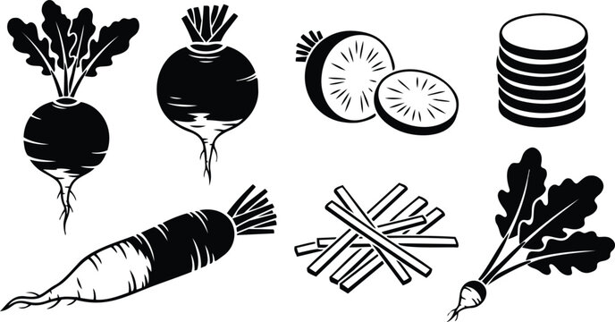 Flat vector vegetable icons set beet radish carrot sliced rounds fries root vegetables collection two tone silhouette top view close up minimal line art kitchen produce