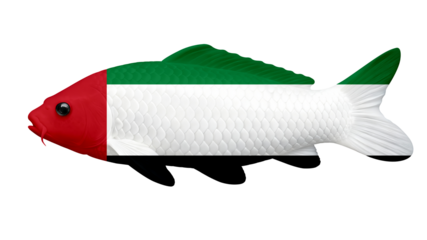 United Arab Emirates Flag Fish Isolated on Transparent Background