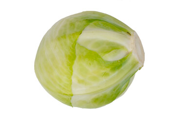 half of white young cabbage