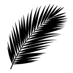 Obraz premium Palm Leaf Tropical Frond Silhouette Vector Illustration Isolated on White Background Summer Nature Icon