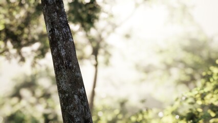 Fototapeta premium Gentle sunlight spills through the leaves of lush trees, creating a tranquil atmosphere in a peaceful forest. Nature awakens with vibrant greens and soft sounds of wildlife.