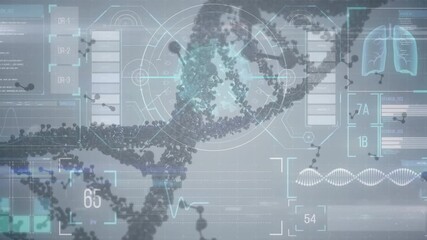 Animation of dna and molecules rotating over digital screen - Powered by Adobe