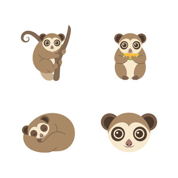 The Slow Loris Kukang Animal Species in Nature