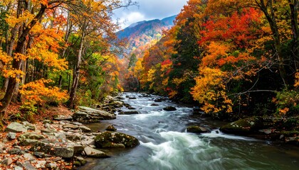 Autumn River Scene - Vibrant Foliage and Flowing Water.