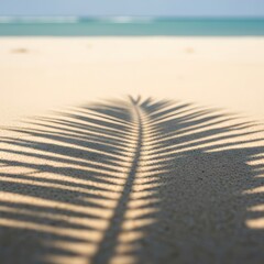 A serene beach scene with a palm tree shadow on the sand