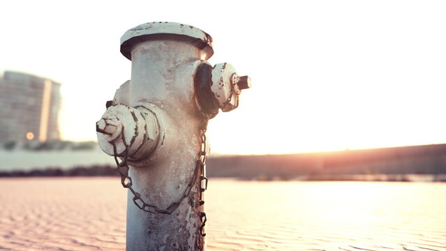 A weathered fire hydrant can be seen in the foreground with the soft glow of sunset creating a warm ambiance. The urban landscape is calm and peaceful, inviting reflection.