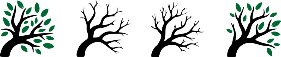 Obraz premium Four Seasons Tree Nature Change Vector Illustration Set