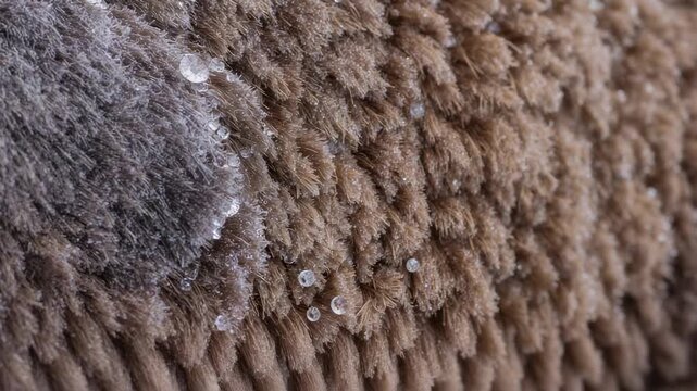 Shifting focus camera showing plush fabric in studio, revealing bead reflections and fiber texture
