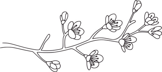 Minimalist black and line of a branch with small flowers © Ali