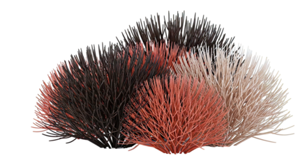 Group of Brush-like Plants in Red, Brown, and Beige Tones