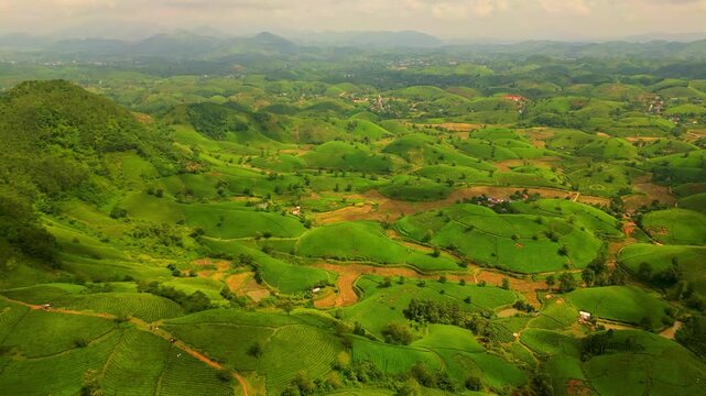 Aerial view of lush green hills and fields with scattered patches of farmland, creating a vibrant textured landscape, Thu Tho, Phu Tho, Vietnam.