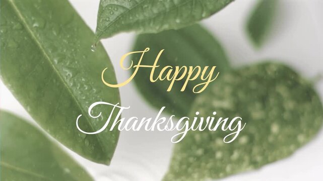 Happy Thanksgiving text animation over green leaves with water droplets