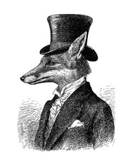 Obraz premium Fox man portrait illustration