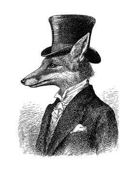 Fox man portrait illustration