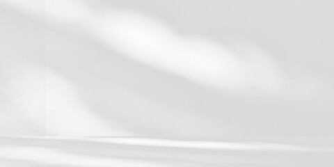 Minimalist white room interior featuring soft sunlight and leaf shadows on clean wall and floor....